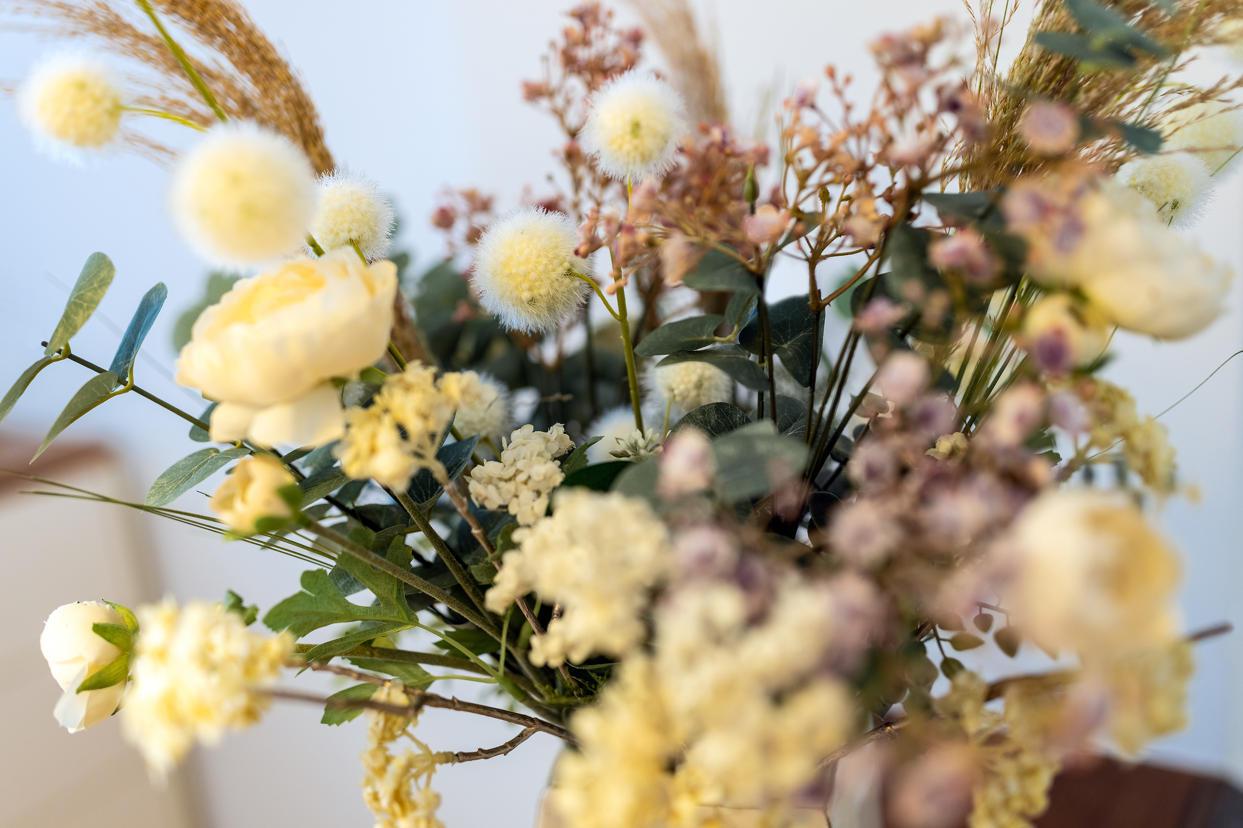 Zahnarztpraxis Josta Woerne